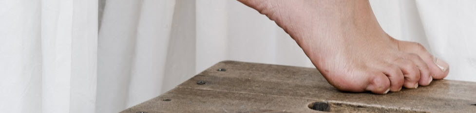 podolog Warszawa Ochota